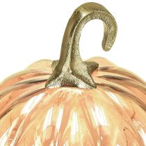 Artikel Pompoendecoratie glas glazen pompoen tafeldecoratie oranje Ø14cm H18cm