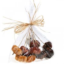 Artikel Deco pompoen decoratieplug oranje, bruin zacht Ø6,5m 9 st