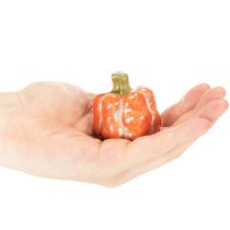 Artikel Pompoenenset: Kleine decoratieve pompoenen voor herfstdecoratie, 5 cm, 3 stuks