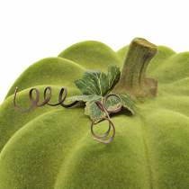 Artikel Decoratieve pompoen flocked mosgroen 32cm