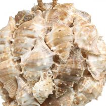 Artikel Decoratieve bal slakkenhuisjes schelpen decoratie hangend naturel Ø12cm