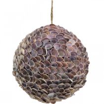 Artikel Deco bal schelpen schelp bal groot Maritiem decoratie Ø25cm