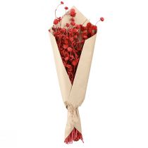Artikel Kogelamarant (Gomphrena globosa), rood, droog, 45cm, 100g