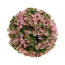 Artikel Decoratieve bol roze groene bolplant Ø15cm 1 stuk