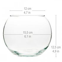 Artikel Bolvormige vaas Glazen vaas Heldere ronde tafelvaas Bloemenvaas Ø15,5cm H12,5cm