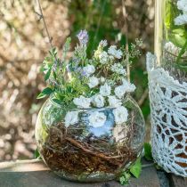 Bolvaas glas bloemenvaas rond glas decoratie H10cm Ø11cm