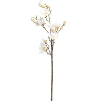 Artikel Kunstbloem Magnolia Tak Bloesems Ø2–10cm Crème L105cm