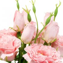 Kunstbloemen Lisianthus roze kunstzijden bloemen 50cm 5st
