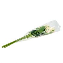 Artikel Kunstbloemen roos creme Ø6cm L50cm 6st