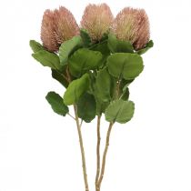 Kunstbloemen, Banksia, Proteaceae Wit-Paars L58cm H6cm