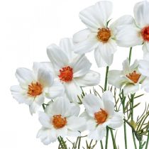 Artikel Kunstbloemen Cosmea witte zijden bloemen H51cm 3 st