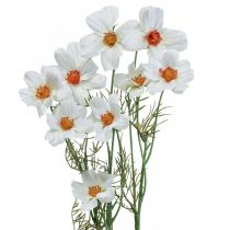 Artikel Kunstbloemen Cosmea witte zijden bloemen H51cm 3 st