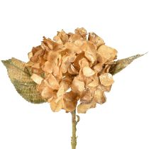 Artikel Kunsthortensia verdroogd Drylook herfstdecoratie L33cm