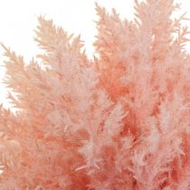 Artikel Kunstplant Astilbe Decoratie Takken Kunstmatig Roze H38cm 5 Stuks