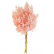 Artikel Kunstplant Astilbe Decoratie Takken Kunstmatig Roze H38cm 5 Stuks