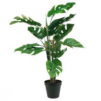 Artikel Kunstplant Philodendron Kunstplant H60cm