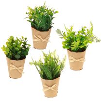 Artikel Kunstplanten Kunstvaren Buxus 15-19cm 4st