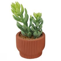 Artikel Kunstplanten Succulent Cactus Kunstmatige groene plant 14,5/15,5 cm 2 stuks