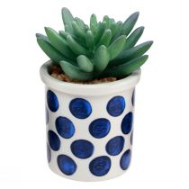 Artikel Kunstplanten vetplanten kunstmatige groene plant 9-12,5 cm 4st