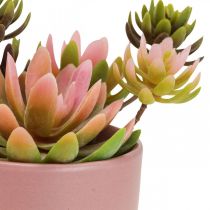 Kunstplanten in potten kunst vetplanten H13cm 3st