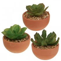 Kunstplanten in potten kunst vetplanten H9cm 3st