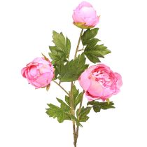 Artikel Kunstrozen Pioenrozen Kunstmatig in Roze L80cm 2st