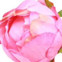 Artikel Kunstrozen Pioenrozen Kunstmatig in Roze L80cm 2st