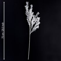 Artikel Kunstmatige tak mat decoratieve tak winterdecoratie wit 78cm 2 stuks