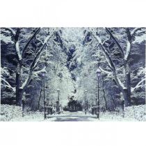 Artikel LED foto winterlandschap park met lantaarns LED muurschildering 58x38cm