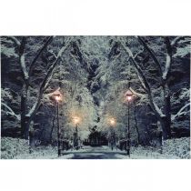 Artikel LED foto winterlandschap park met lantaarns LED muurschildering 58x38cm