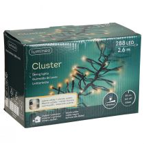 Artikel LED-lichtkettingcluster voor binnen en buiten 288 LED 260cm