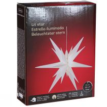 Artikel LED ster 3D wit timer batterij buiten Ø30cm H74cm