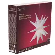 Artikel Decoratieve LED-ster, warm wit, voor buiten, met timer, 40 cm