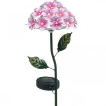 Solar bloem, LED tuindecoratie, decoratief chrysant roze L55cm Ø15cm