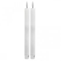 LED kaarsvet tafelkaars warm wit voor batterij Ø2cm 24cm 2st