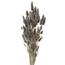Artikel Lagurus Gedroogd Hazenstaartgras Grijs 45-55cm 50g