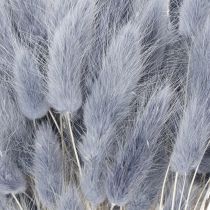 Artikel Gedroogd hazenstaartgras (Lagurus) grijs voor boeketten met gedroogde bloemen 60 cm 75 g