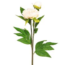 Artikel Lange kunstpioenen kunstbloemen crème 70cm 3 st