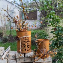 Artikel Lantaarn metalen lantaarn patina decoratie Ø16/20,5cm set van 2
