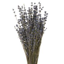 Artikel Lavendel Gedroogde Bloemen Decoratie Natuurlijk 100g 40cm 100g × 2st