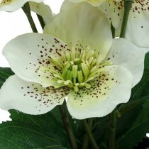 Lenteroos Helleborus kerstroos pot kunstbloemen H25cm wit