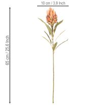 Artikel Kunstmatige Protea Leucadendron bloem met lange steel, 65 cm, 3 stuks