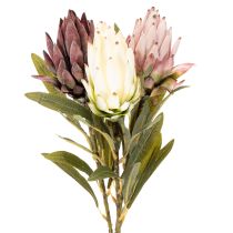 Artikel Protea kunstbloem Leucadendron 65 cm 3 stuks