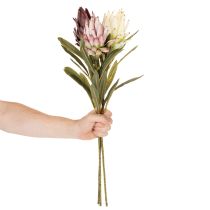 Artikel Protea kunstbloem Leucadendron 100cm 3 stuks