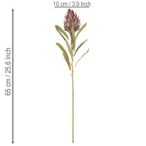 Artikel Protea kunstbloem Leucadendron 100cm 3 stuks