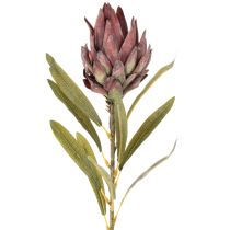 Artikel Protea kunstbloem Leucadendron 100cm 3 stuks