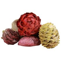 Artikel Leucadendron kegels Bellgum Groen Rood Geel Mat 300g