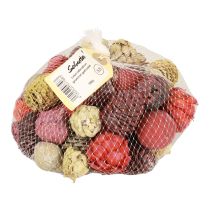 Artikel Leucadendron kegels Bellgum Groen Rood Geel Mat 300g