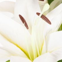 Artikel Kunstmatige lelies, 6 witte bloemen, realistische bloeiende tak, 66 cm