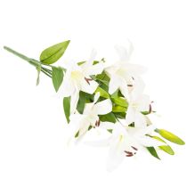 Artikel Kunstmatige lelies, 6 witte bloemen, realistische bloeiende tak, 66 cm